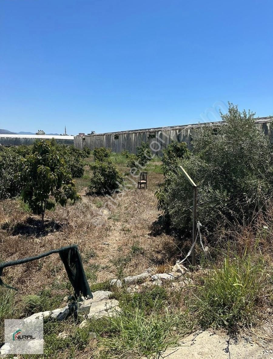 Anamur Güzelyurt'ta İmara Yakın Satılık Arsa - Görsel 3