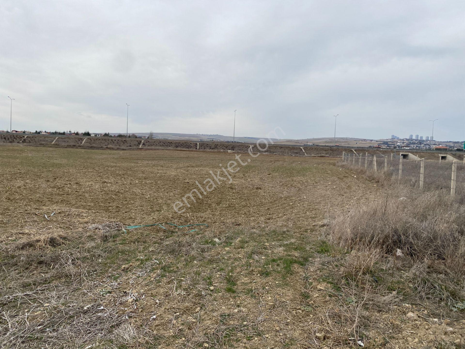 Hacılarda 1576 M2 Hisse Tapu Arsa Köşe Parsel Karadeniz Emlaktan - Görsel 12