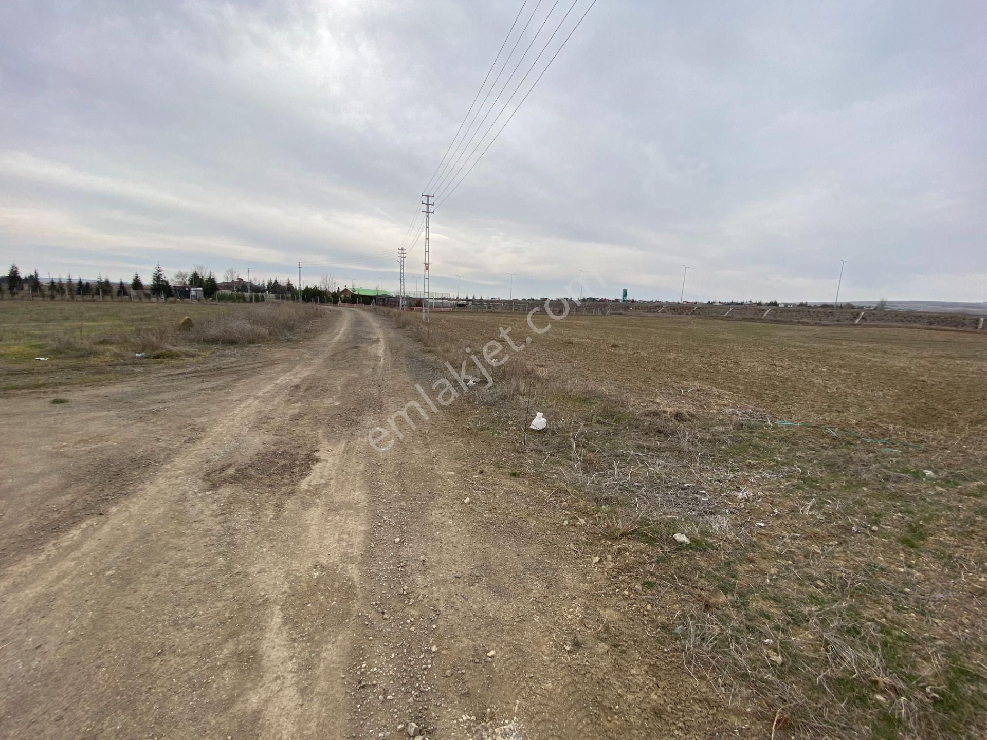 Hacılarda 1576 M2 Hisse Tapu Arsa Köşe Parsel Karadeniz Emlaktan - Görsel 9