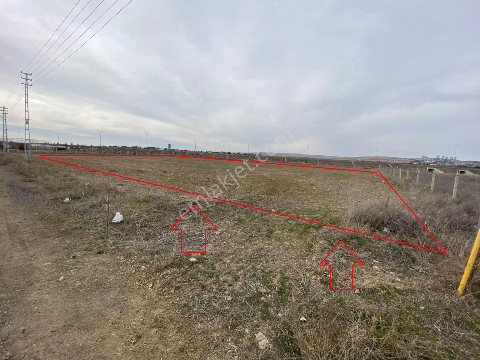 Hacılarda 1576 M2 Hisse Tapu Arsa Köşe Parsel Karadeniz Emlaktan