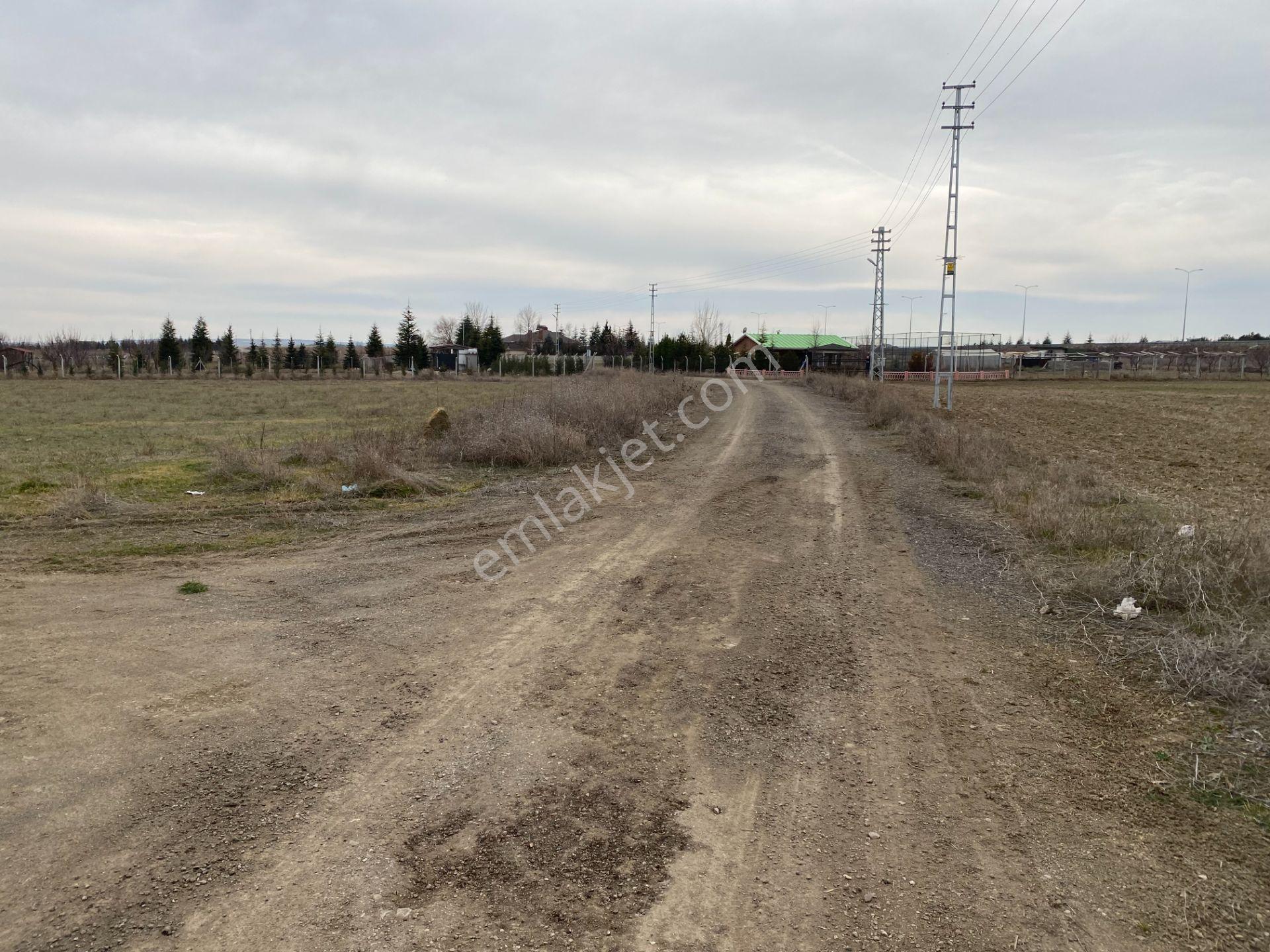 Hacılarda 1576 M2 Hisse Tapu Arsa Köşe Parsel Karadeniz Emlaktan - Görsel 13