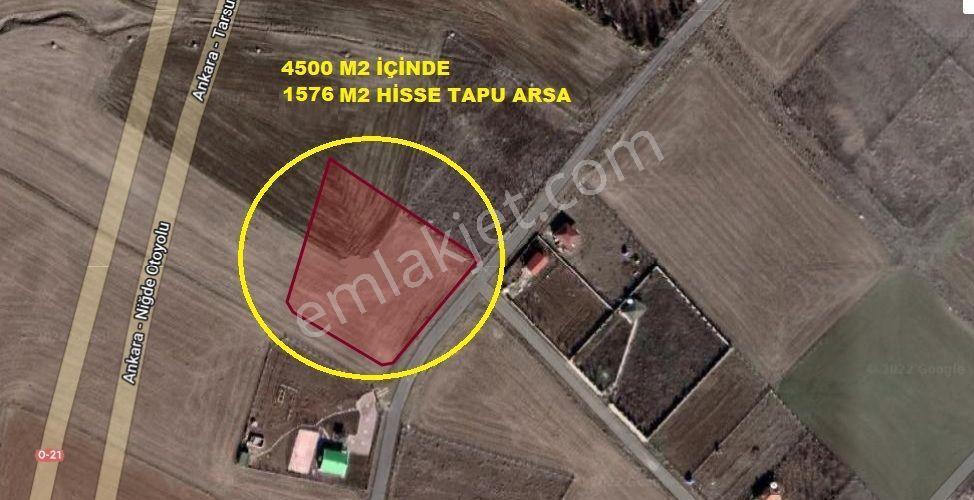 Hacılarda 1576 M2 Hisse Tapu Arsa Köşe Parsel Karadeniz Emlaktan - Görsel 2