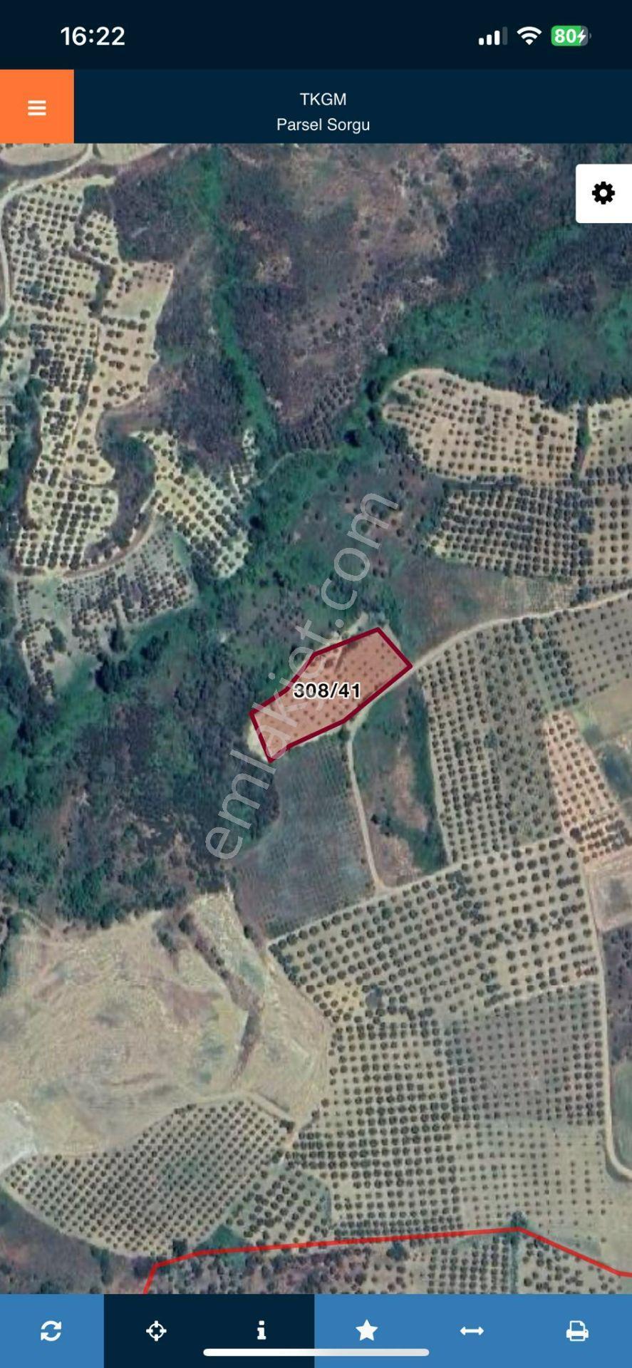 Tepeköy Mahallesinde Yola Cephe Zeytinlik - Görsel 13