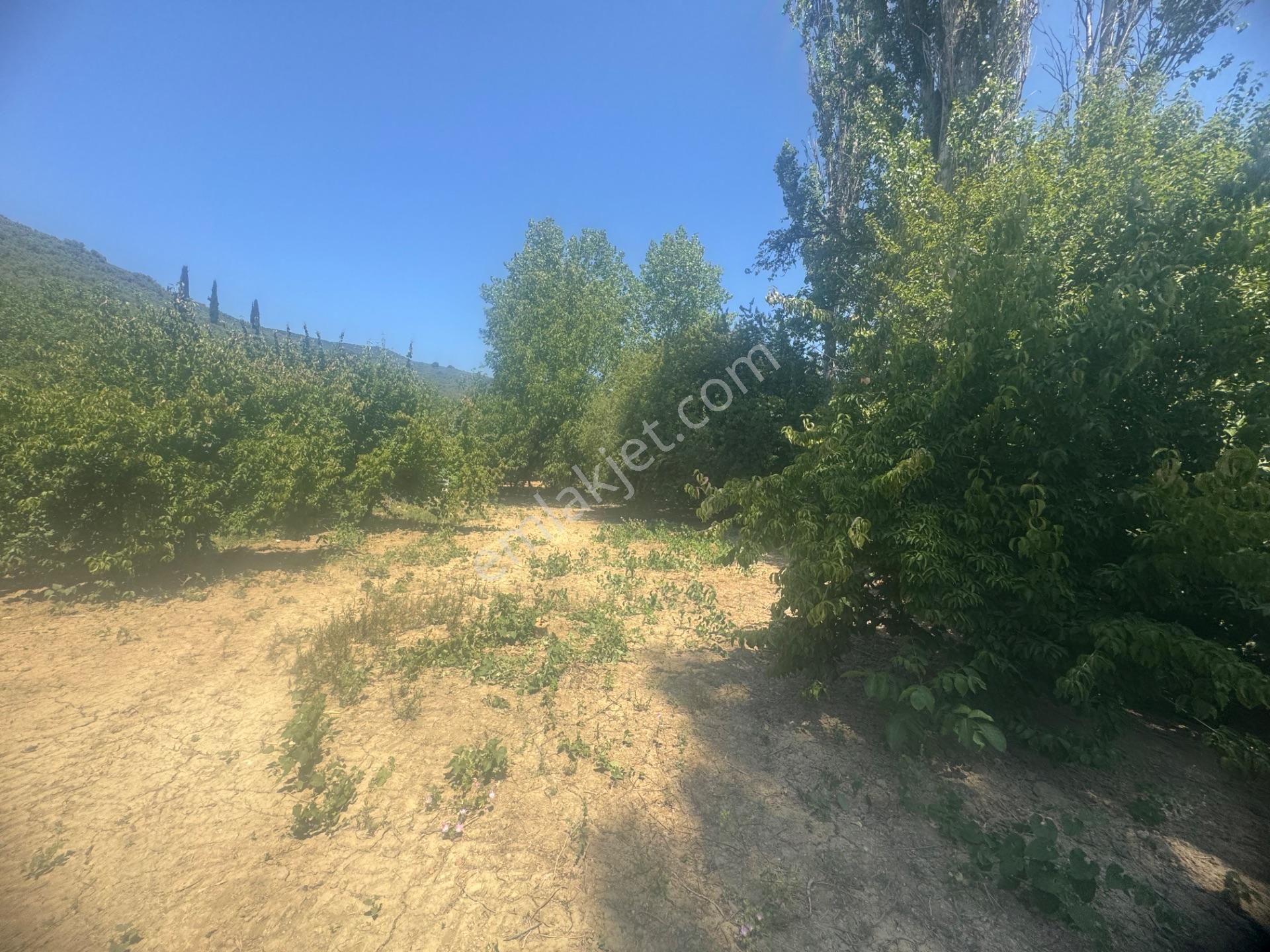 Kumla Konak Emlak;tan Satılık 3 Kat İmarlı Arsa - Görsel 20