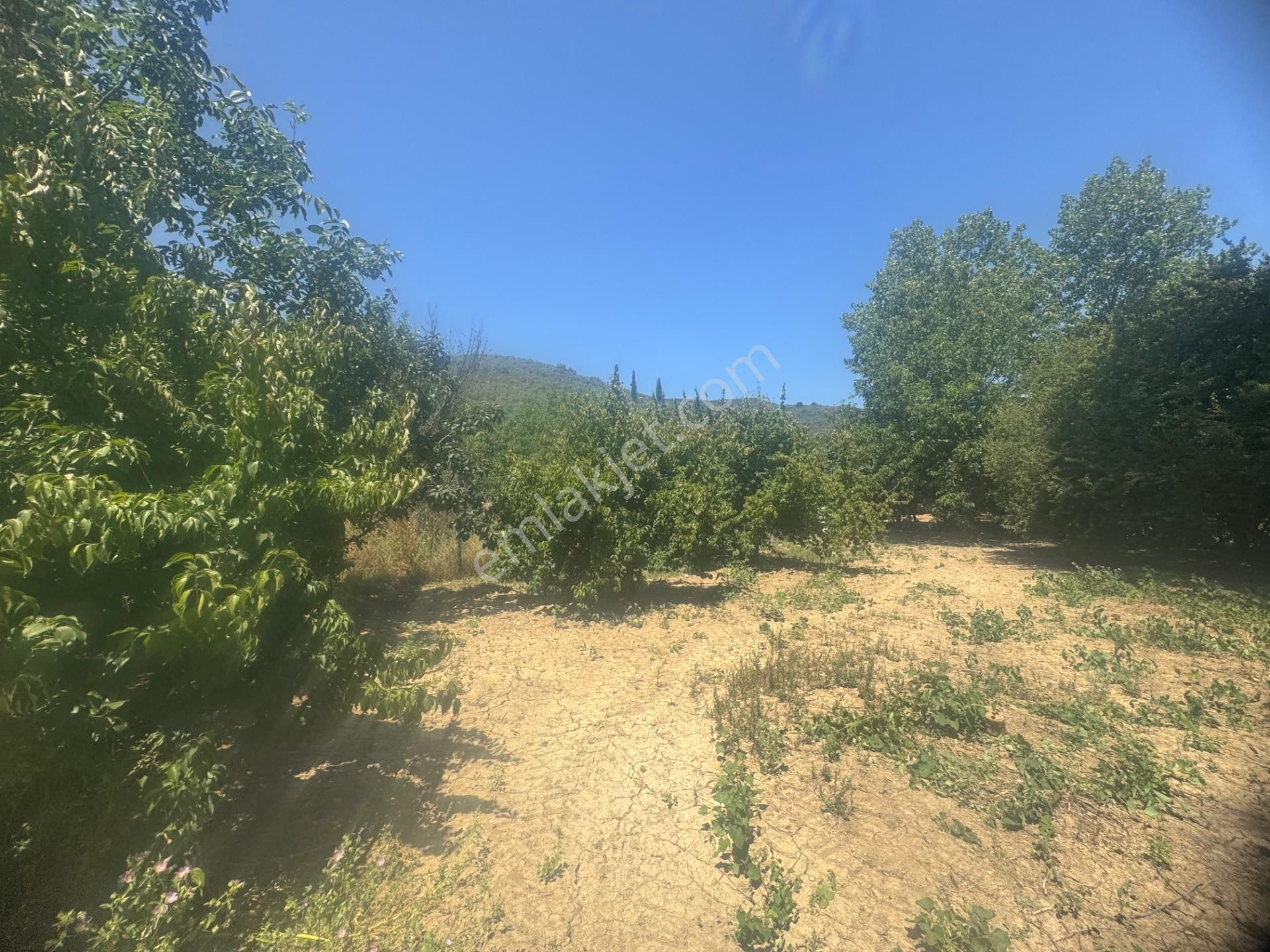 Kumla Konak Emlak;tan Satılık 3 Kat İmarlı Arsa - Görsel 21