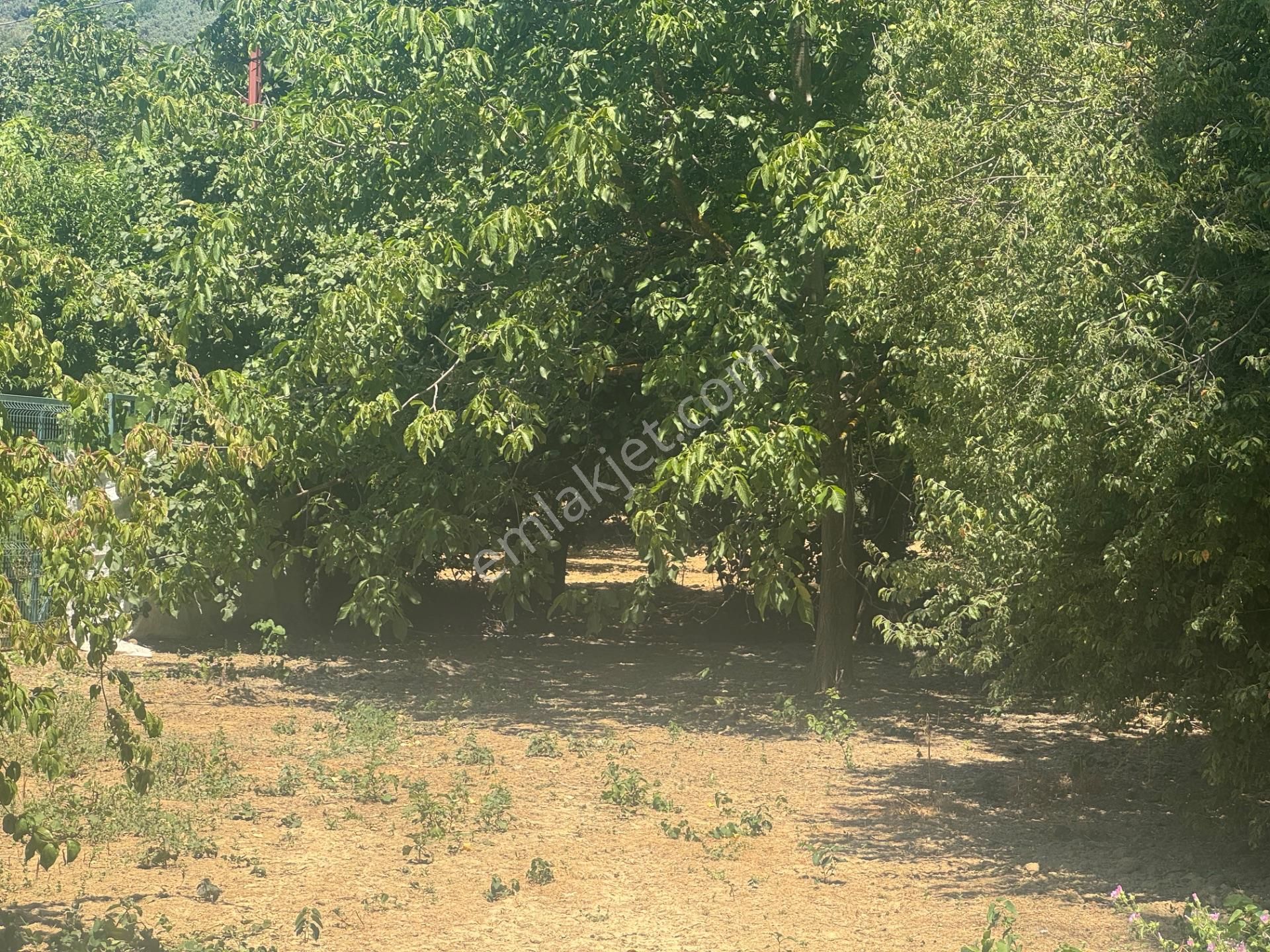 Kumla Konak Emlak;tan Satılık 3 Kat İmarlı Arsa - Görsel 25