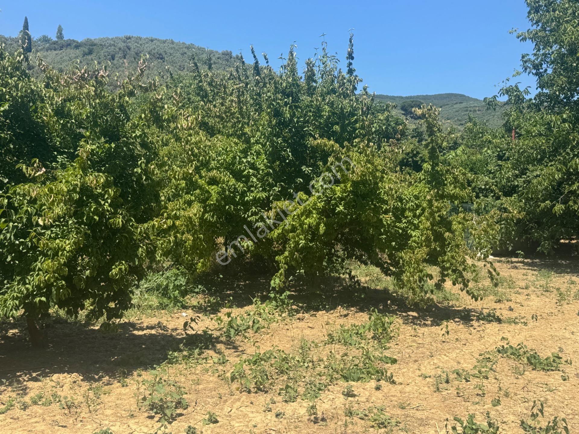 Kumla Konak Emlak;tan Satılık 3 Kat İmarlı Arsa - Görsel 26