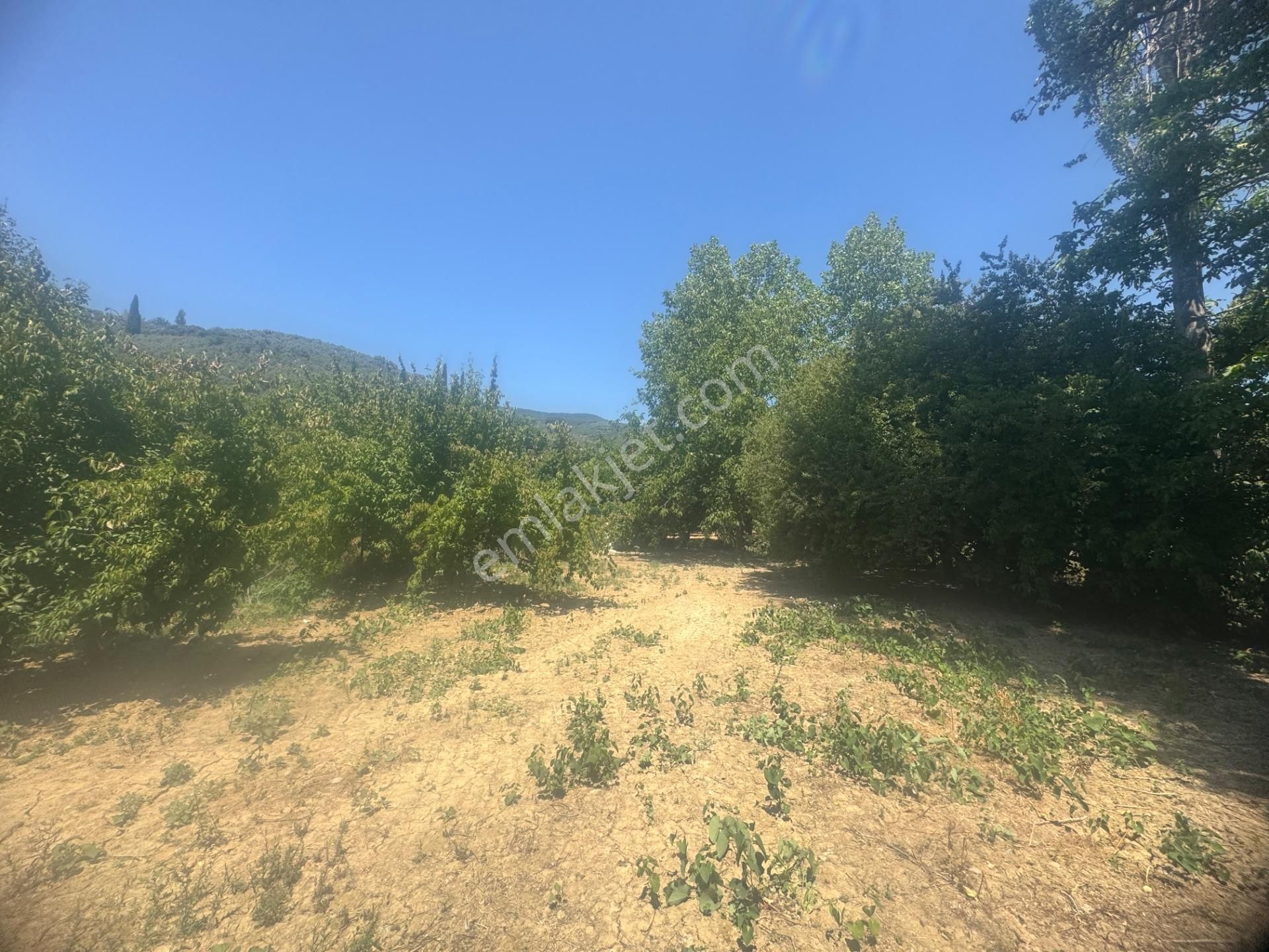 Kumla Konak Emlak;tan Satılık 3 Kat İmarlı Arsa - Görsel 23