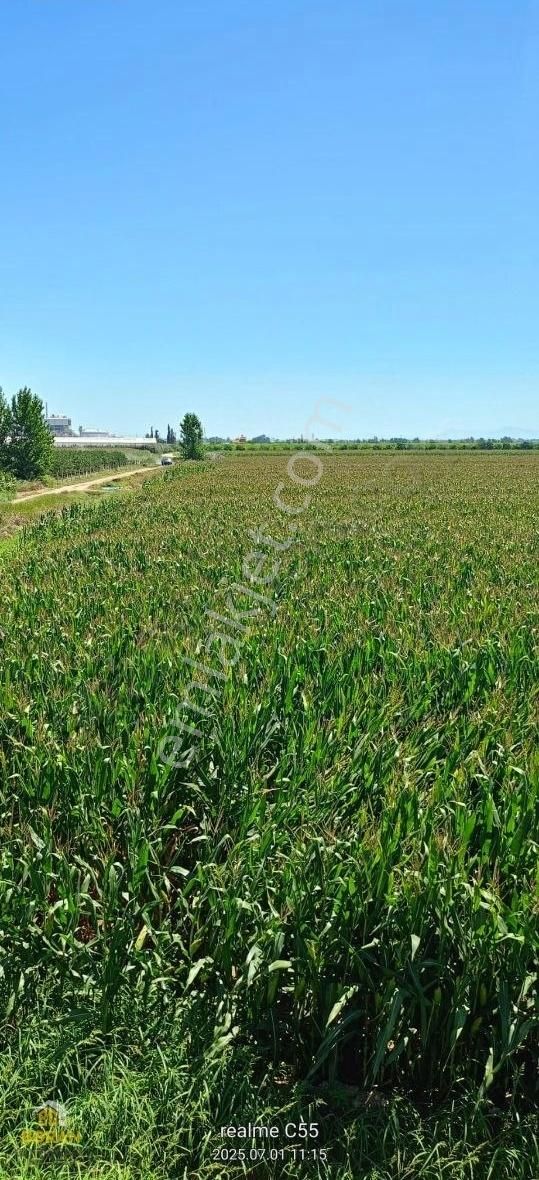 Boran Gayrimenkulden Şehir İçi 39 Dönüm Tek Tapu