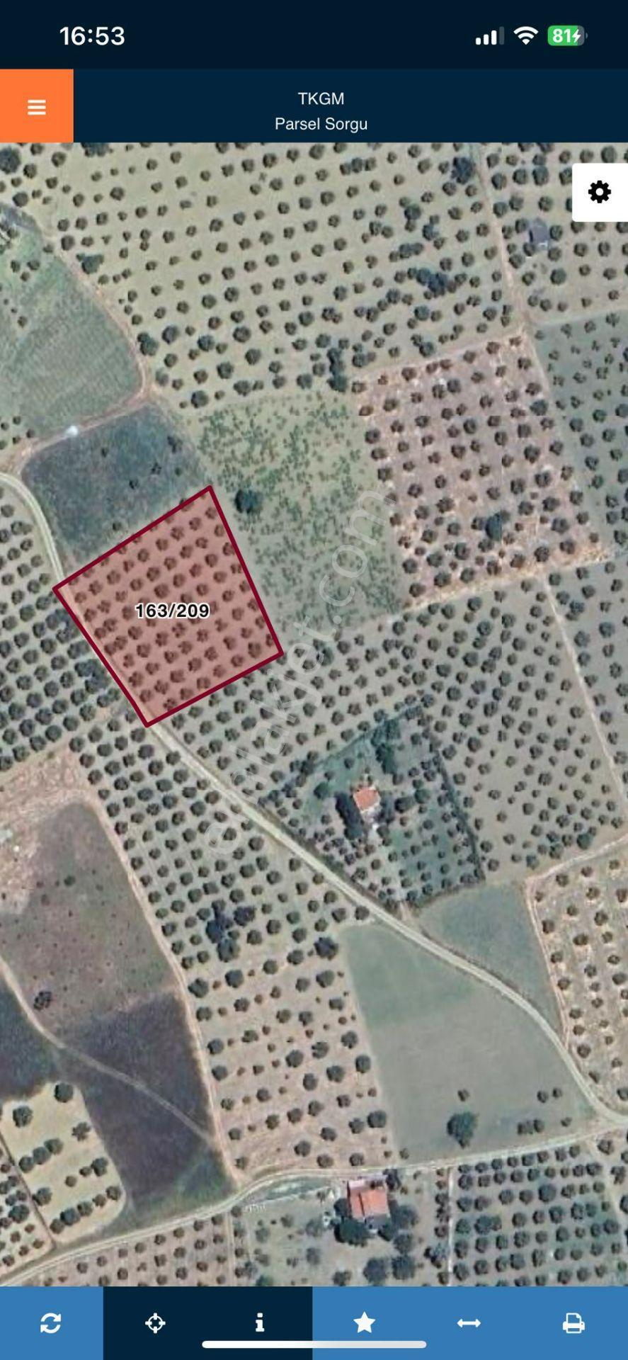 Eriklice Mah. Leb-i Derya Deniz Manzaralı Zeytinlik - Görsel 21