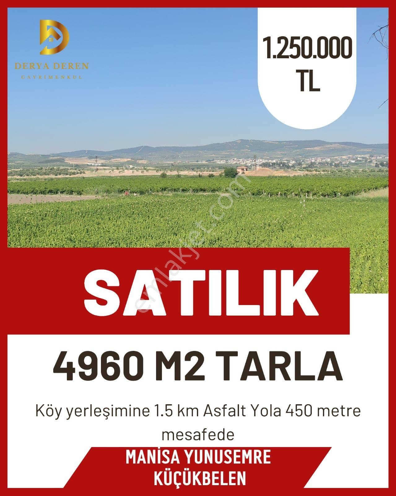 Satılık Tarla Manisa Yunusemre Küçükbelen
