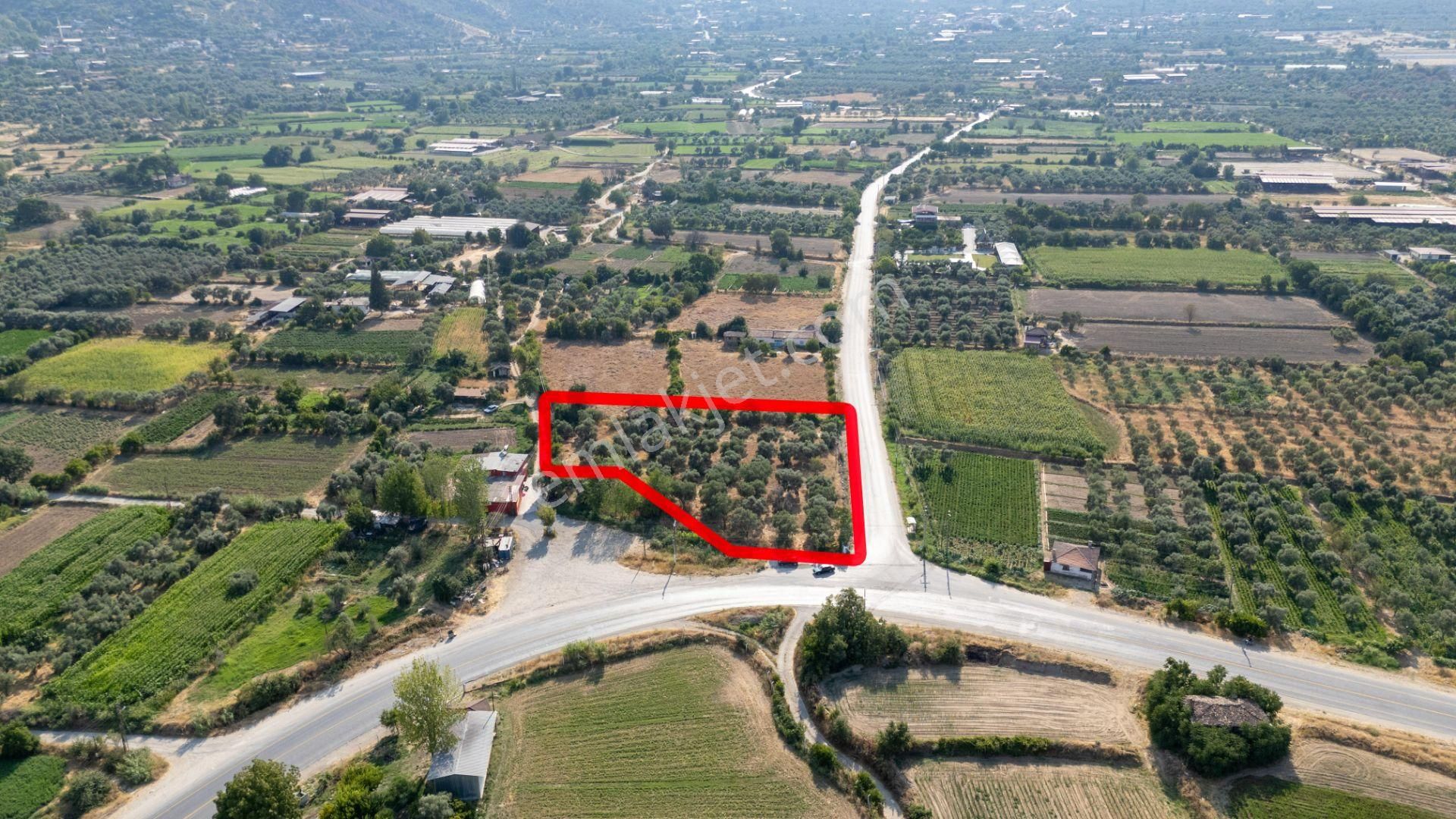 526 Aydın Bozdoğan Eymir Mahallesinde Satılık Köşe Konumlu Zeytinlik - Görsel 10
