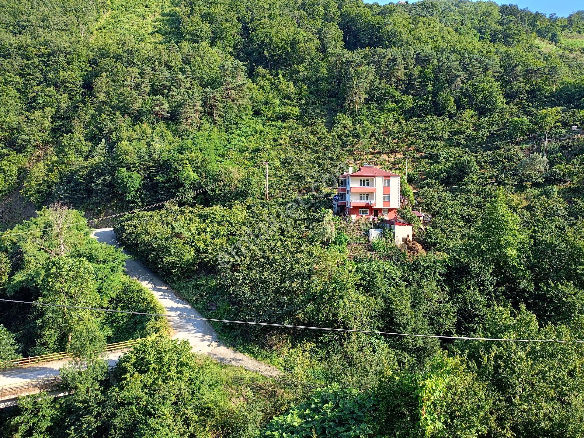 Akçaabat Kavaklı’ Da Satılık 2679 M2 Yatırımlık Fırsat Arazi - Görsel 21