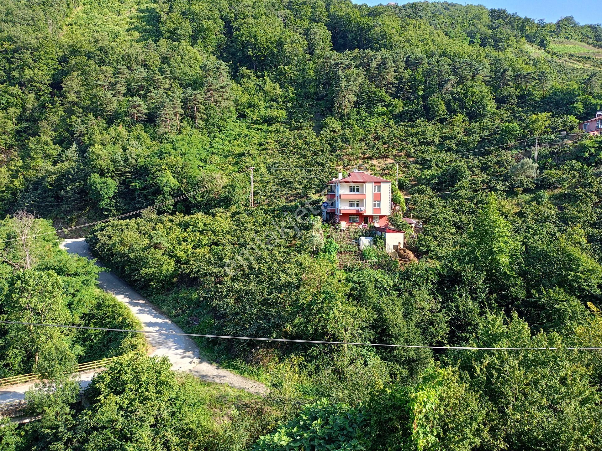 Akçaabat Kavaklı’ Da Satılık 2679 M2 Yatırımlık Fırsat Arazi - Görsel 22