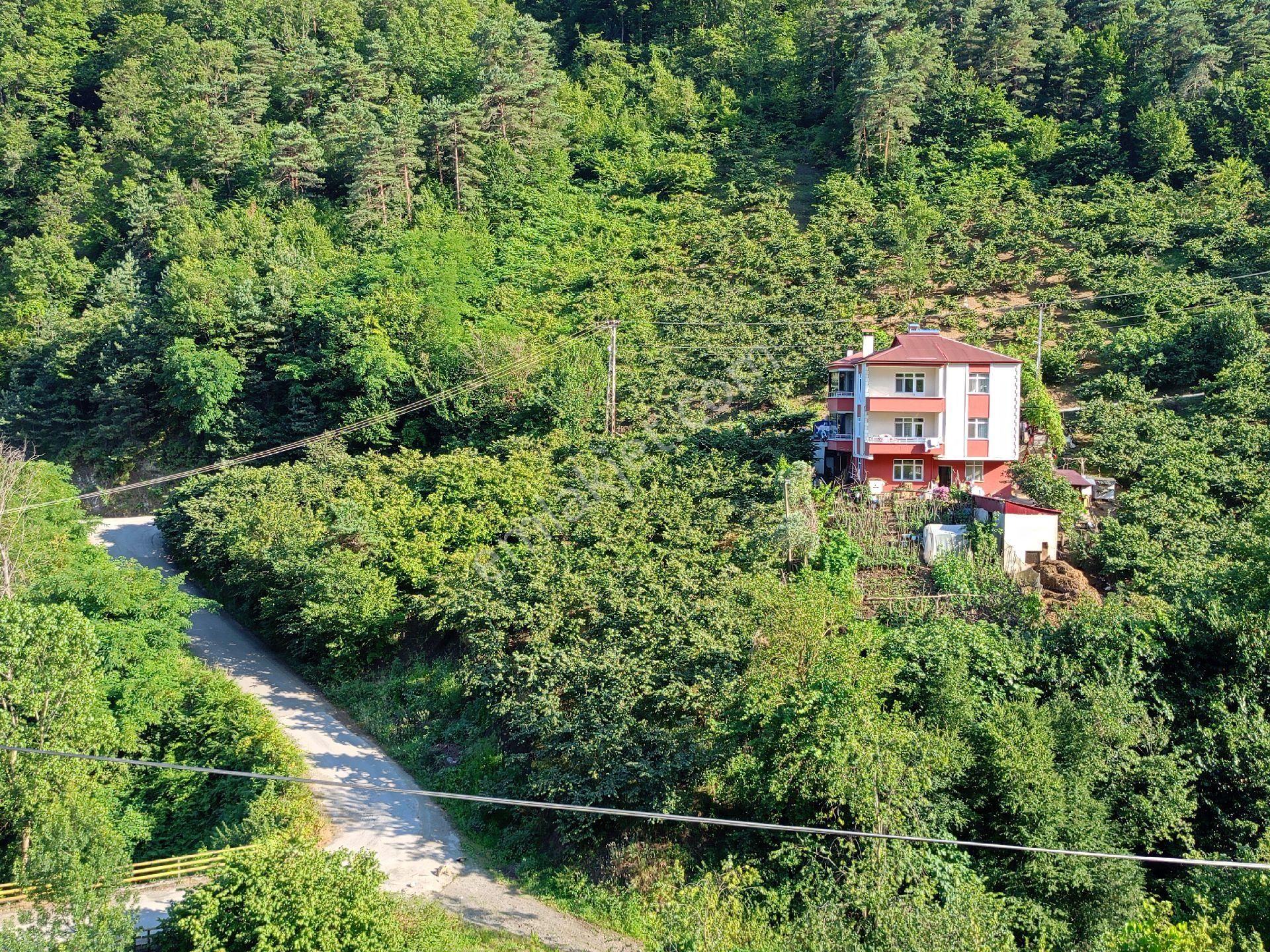 Akçaabat Kavaklı’ Da Satılık 2679 M2 Yatırımlık Fırsat Arazi - Görsel 12