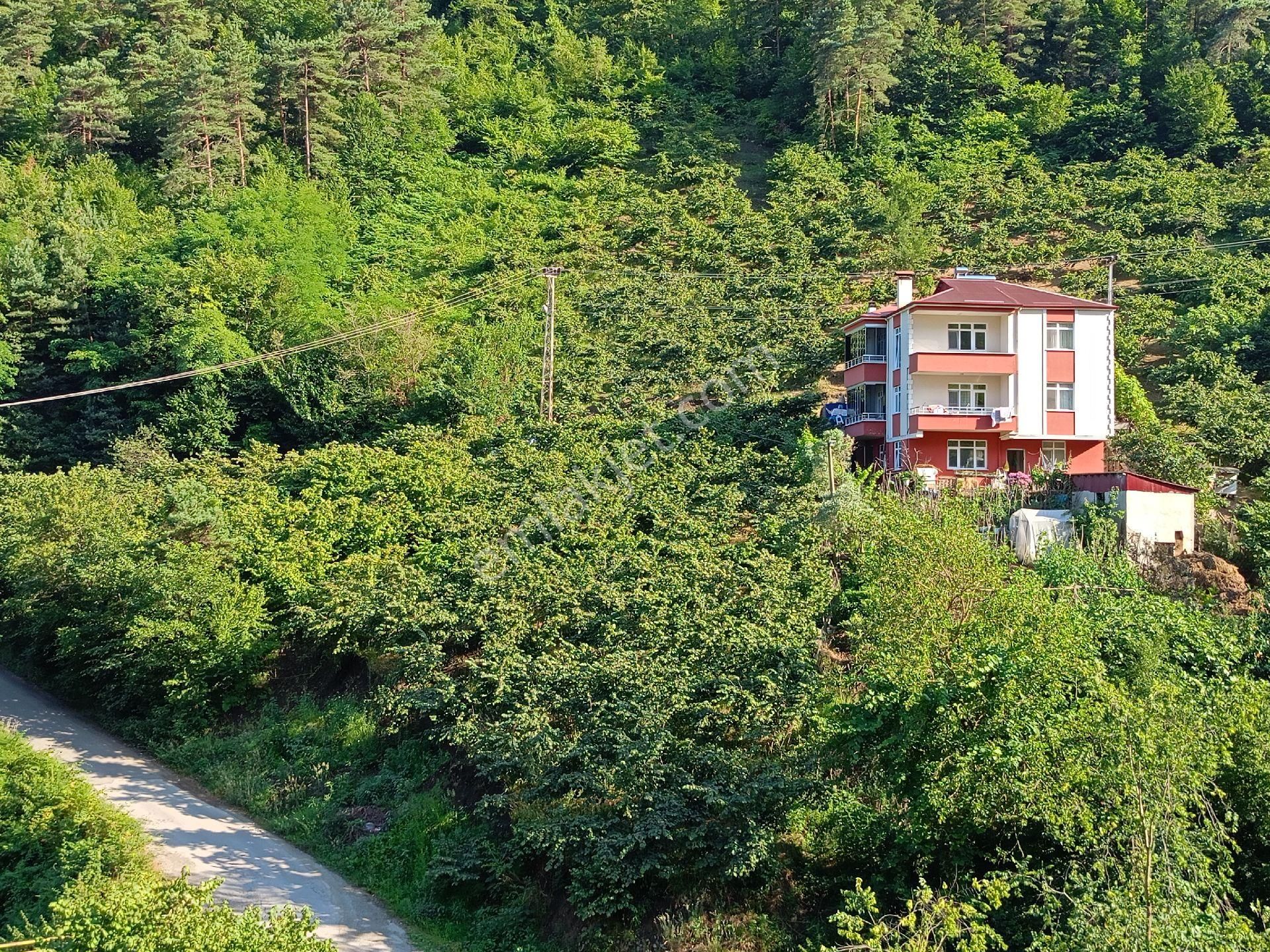 Akçaabat Kavaklı’ Da Satılık 2679 M2 Yatırımlık Fırsat Arazi - Görsel 16