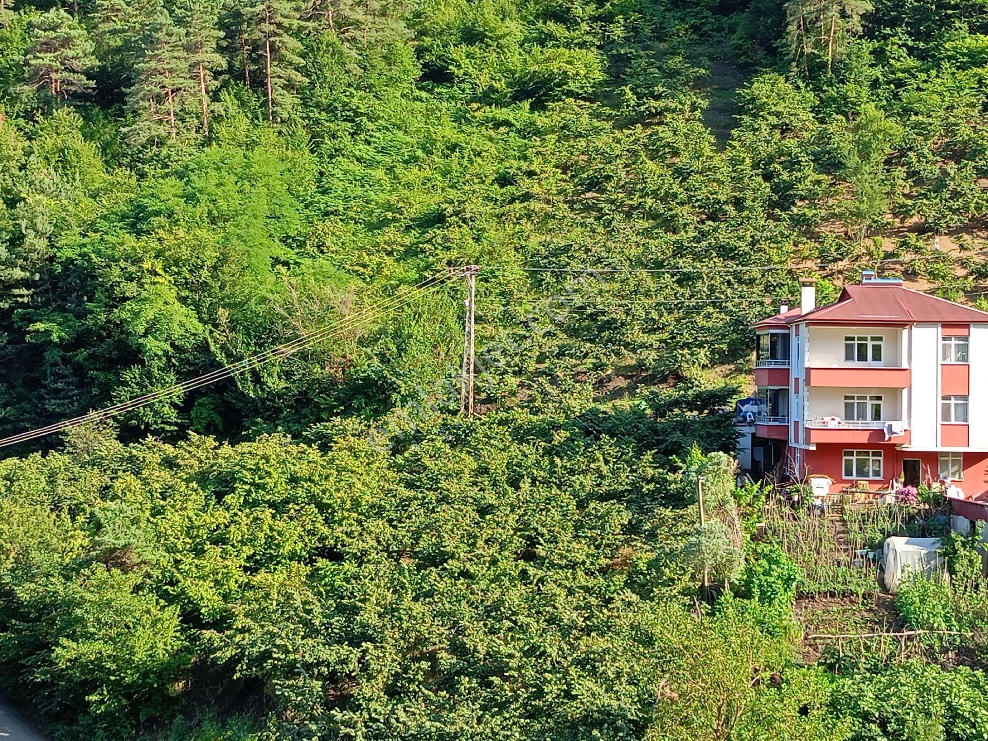 Akçaabat Kavaklı’ Da Satılık 2679 M2 Yatırımlık Fırsat Arazi - Görsel 24