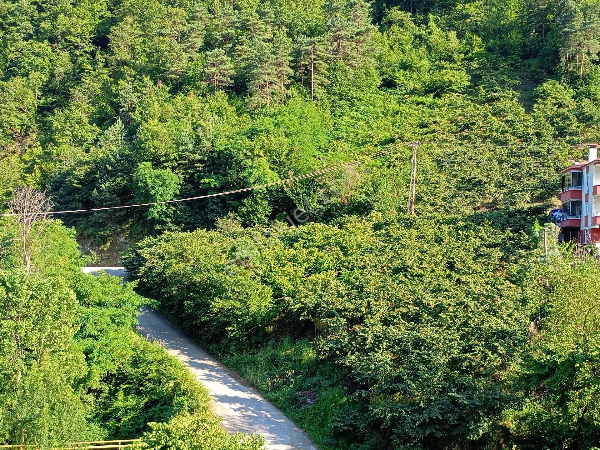 Akçaabat Kavaklı’ Da Satılık 2679 M2 Yatırımlık Fırsat Arazi - Görsel 11