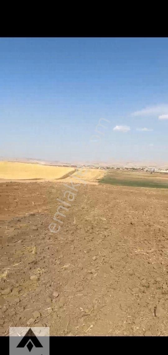 My Ekipdenankara Sincan Temelli De Organize Sanayi Bölgelerinin Geliştiği Hızla Gelişenbölgedeimarlı - Görsel 2