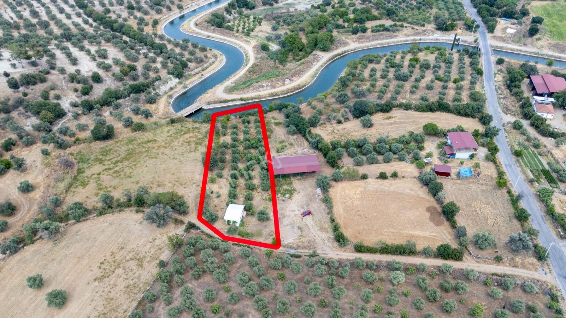 Bozdoğan Kılavuzlar Mahallesinde Satılık 2.200 M² Zeytinlik Ve Bahçe Evi - Görsel 4