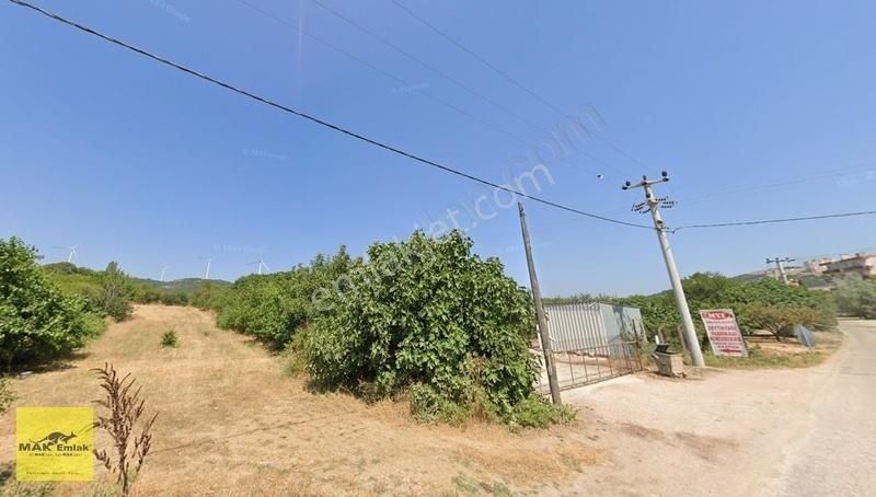 Edincik'te Yola Cepheli Toplam 2.249 M2 Satılık Arazi S2829