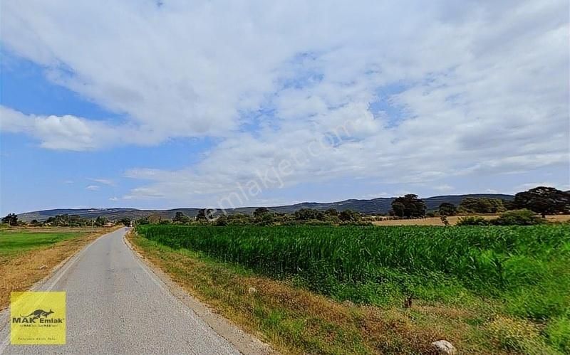 Manyas Darıca'da Asfalta Cephe 5.000 M2 Satılık Tarla S2831