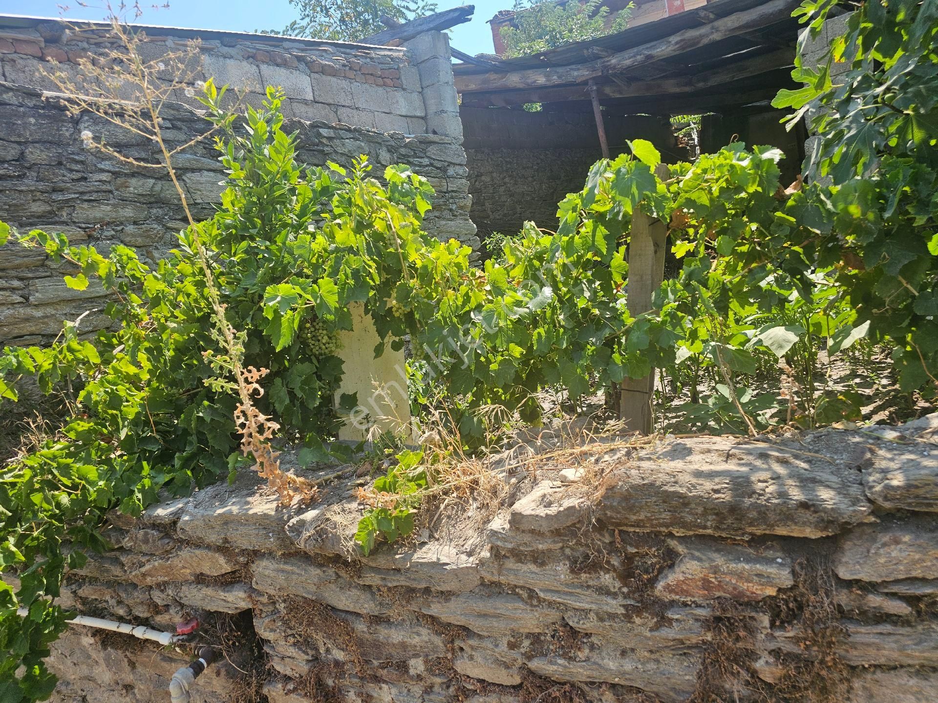 Söke Emlak Ofisisınden Bağarasında Satılık Mustakıl Ev - Görsel 6