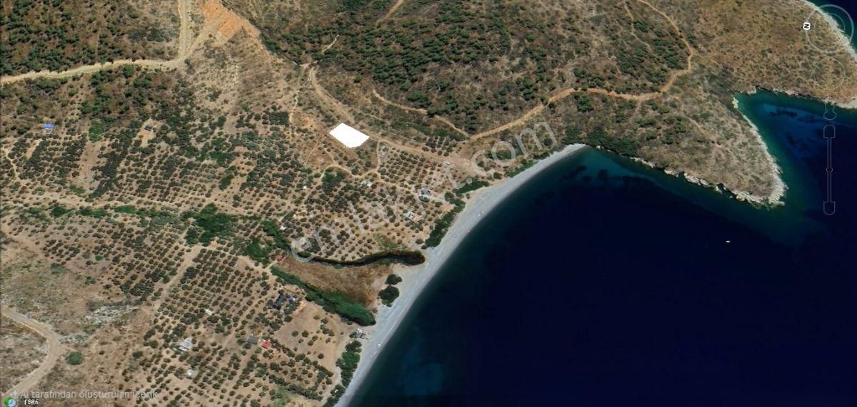 Bodrum Mazıda Denıze Yürüme Mesafesınde Satılık Tarla
