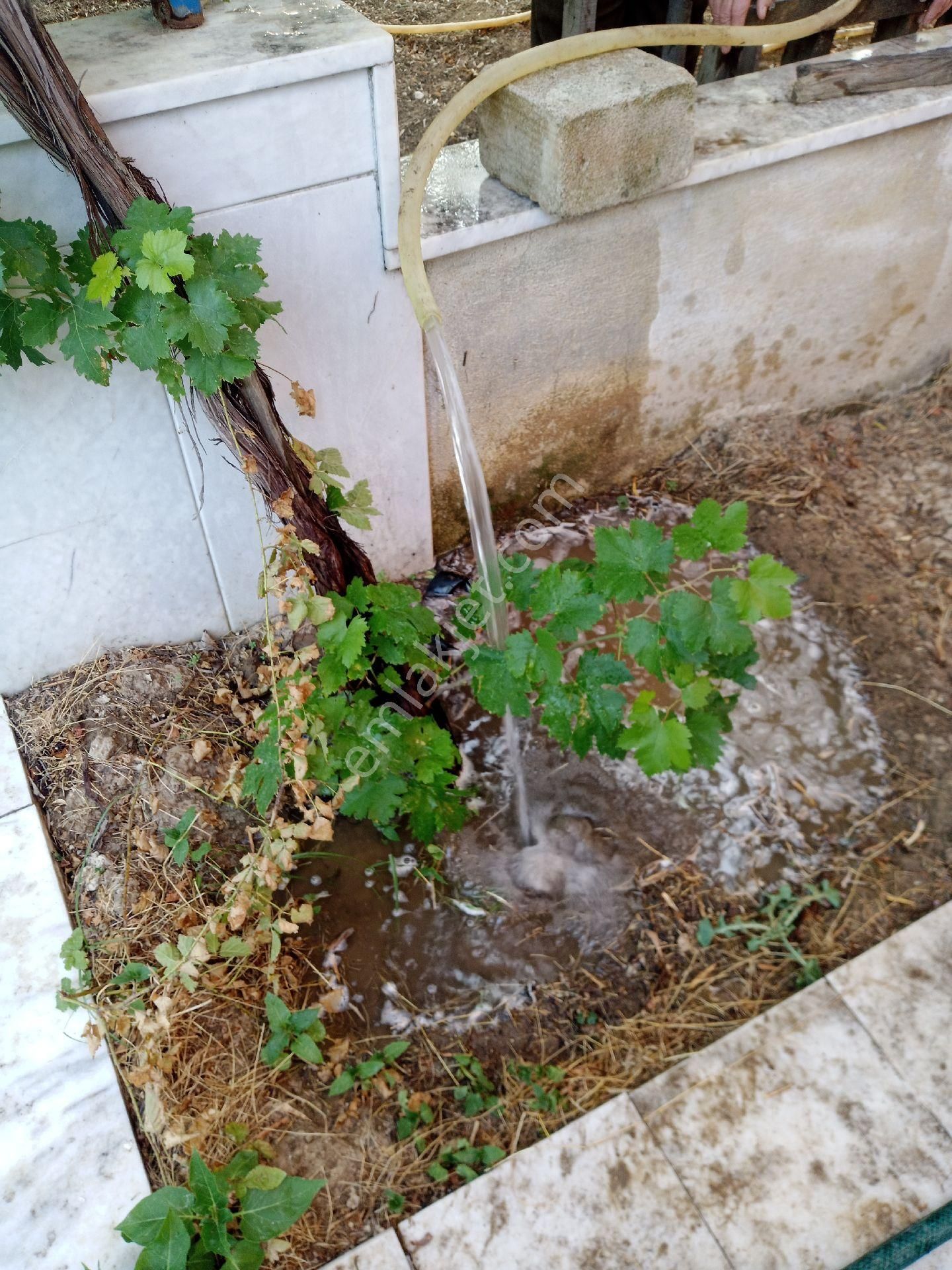 Sahibinden Satılık Ev Ve Arsa