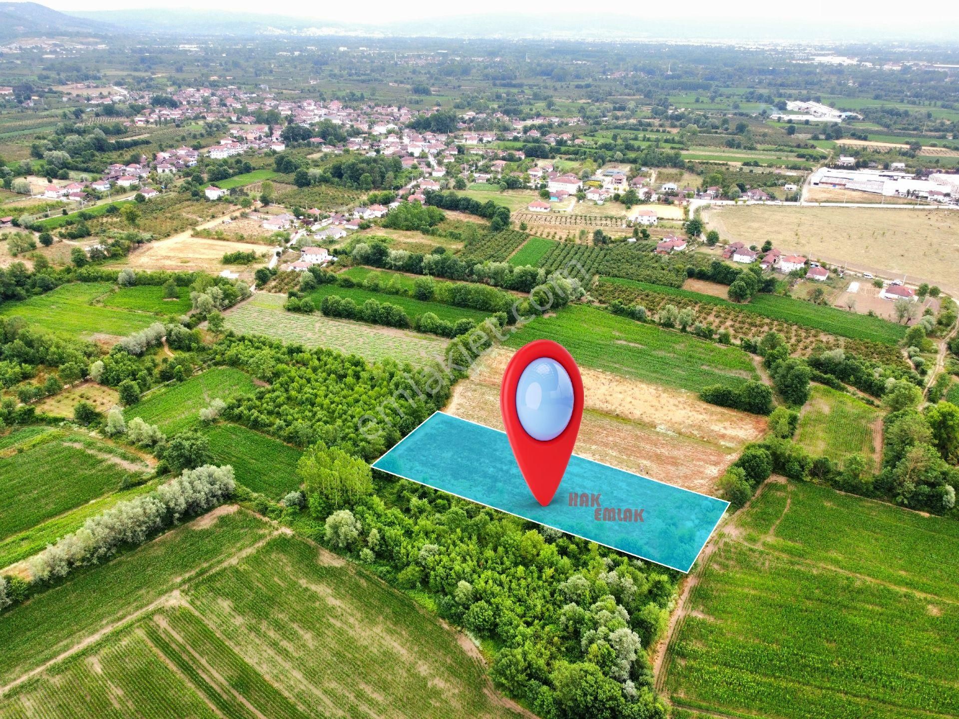 Hak Emlak'tan Çilimli - Pırpır Köyünde Satılık 4.919 M² Tarla