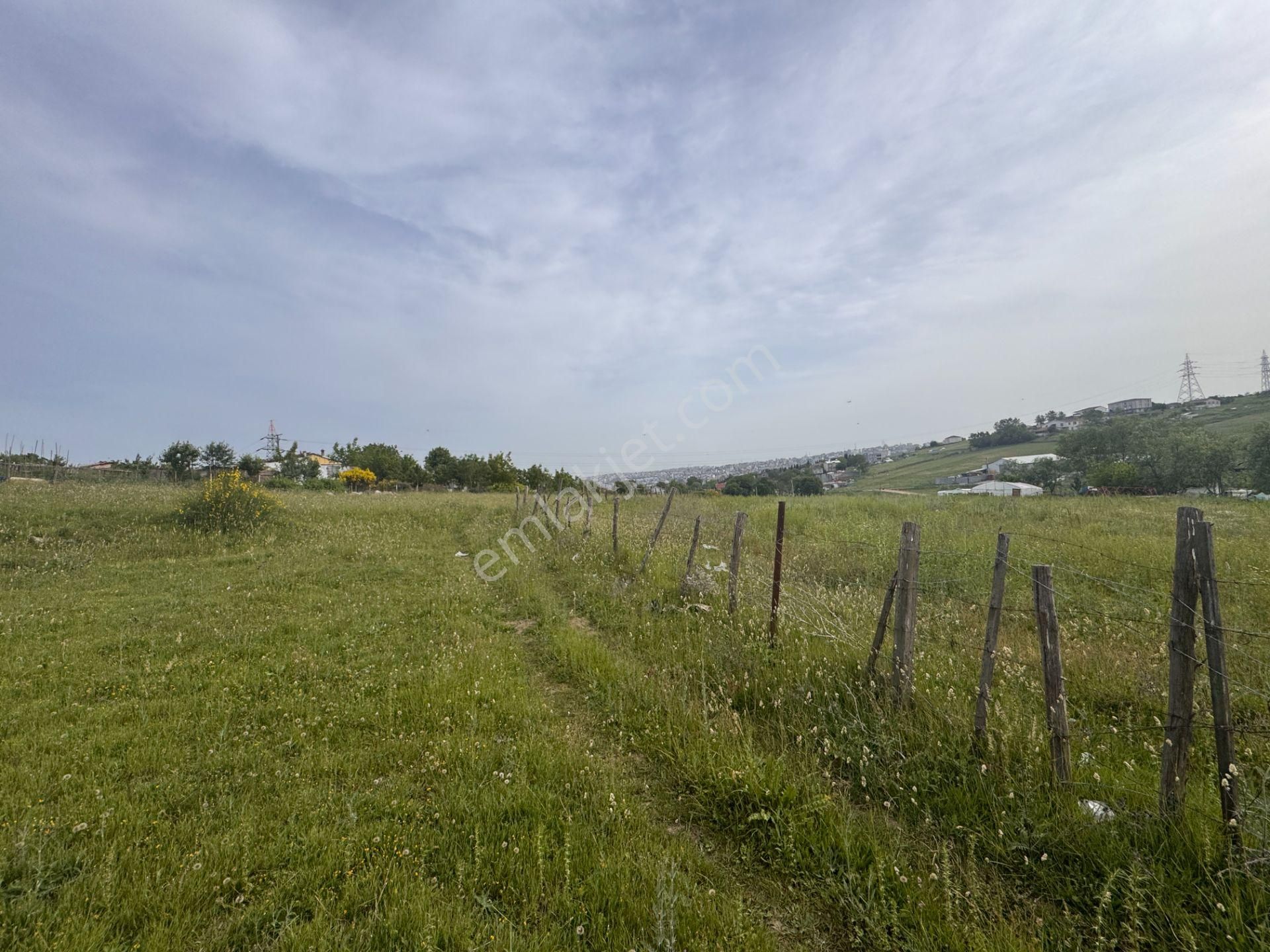 Arnavutköy İmrahor’da 665 M2 Turizm Alanı İmarlı Satılık Arsa - Görsel 4