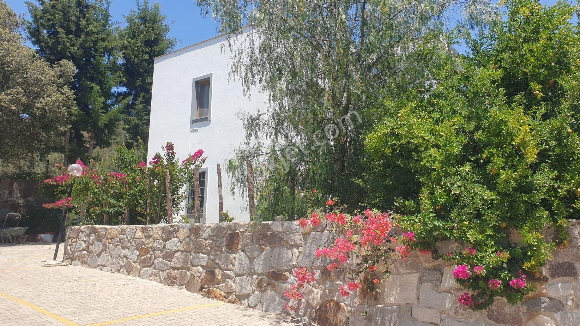 Gümüşlük Merkezinde, Köy İçinde Bahçeli Kiralık Daire!