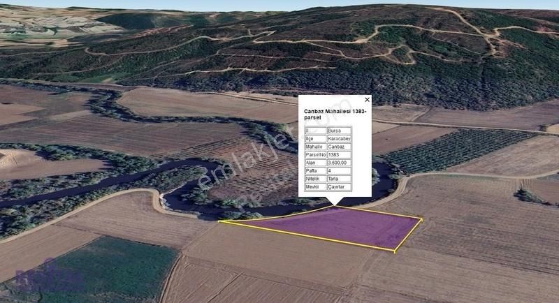 Canbaz Karacabey Yatırımlık Tarla Sulak Arazi