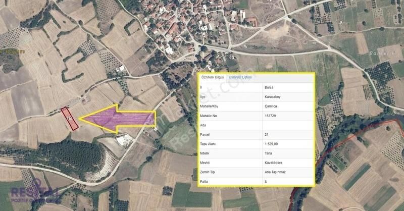 Çamlıca Karacabey Yatırımlık Köye Yakın Tarla