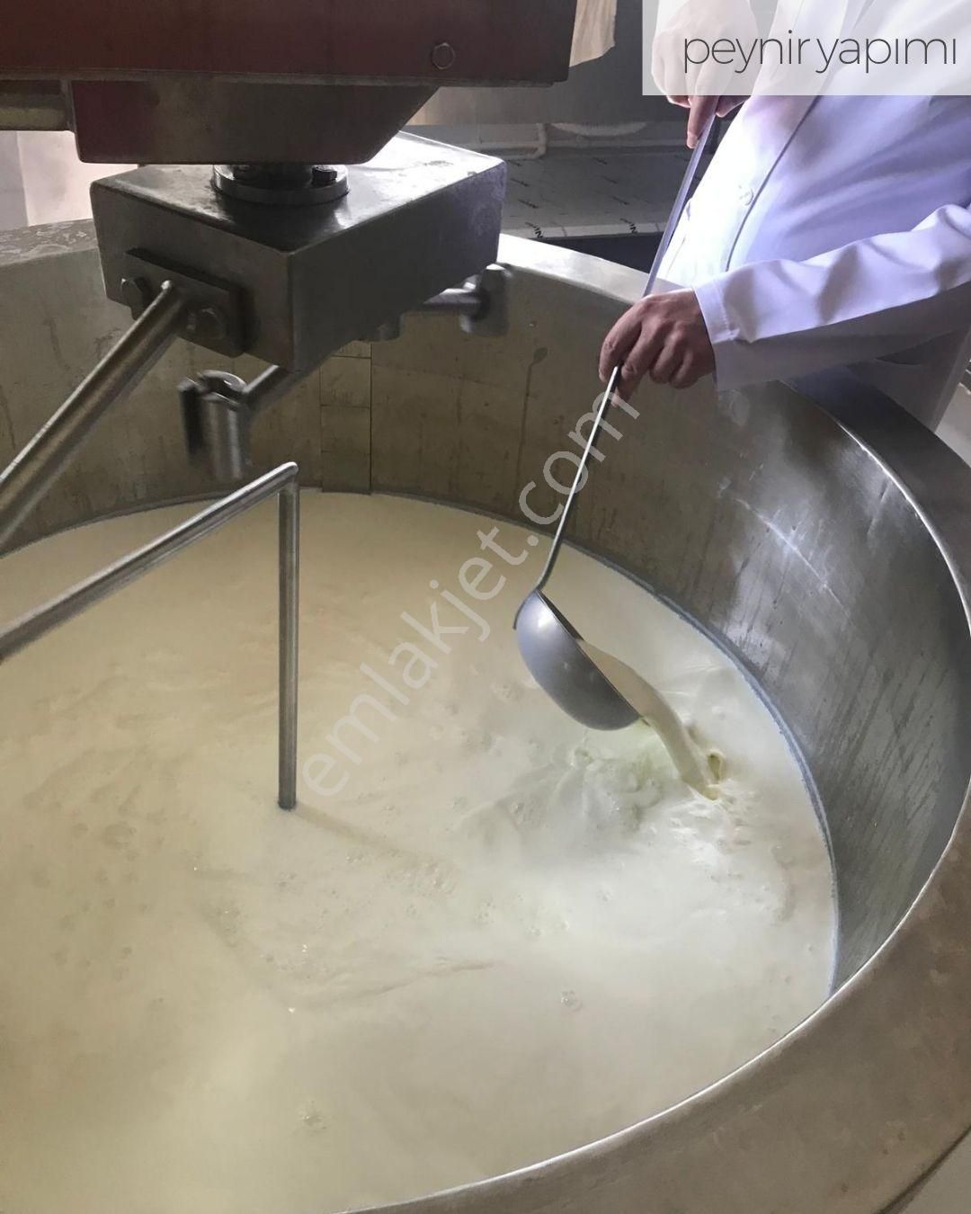 21 Dönüme Kurulu Ruhsatlı Çiftlik - Görsel 4