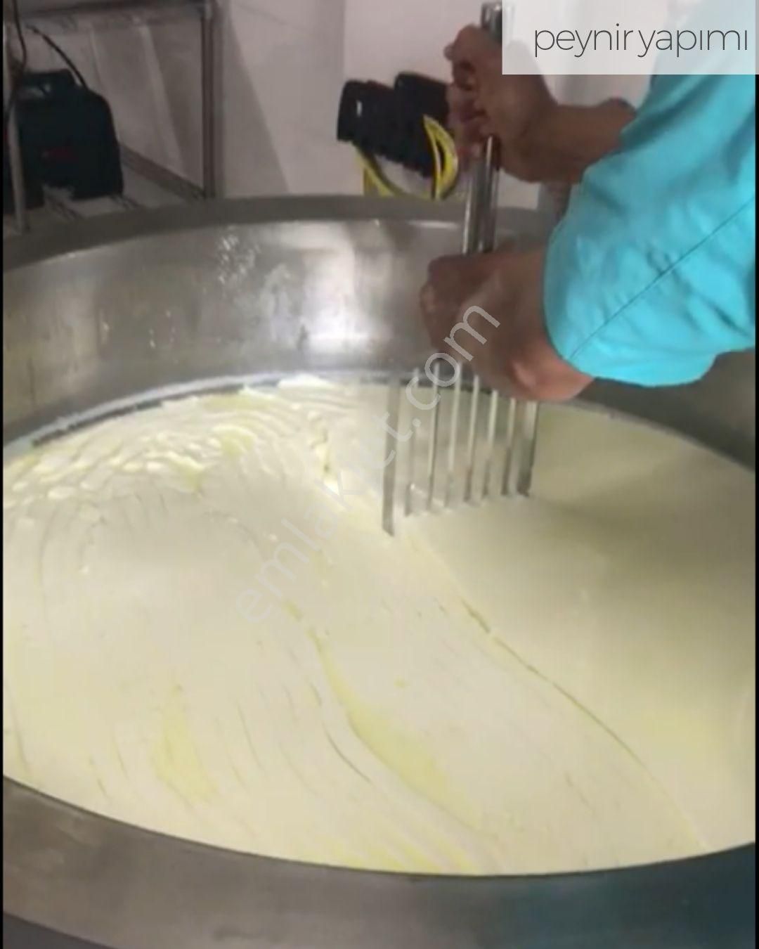 21 Dönüme Kurulu Ruhsatlı Çiftlik - Görsel 5