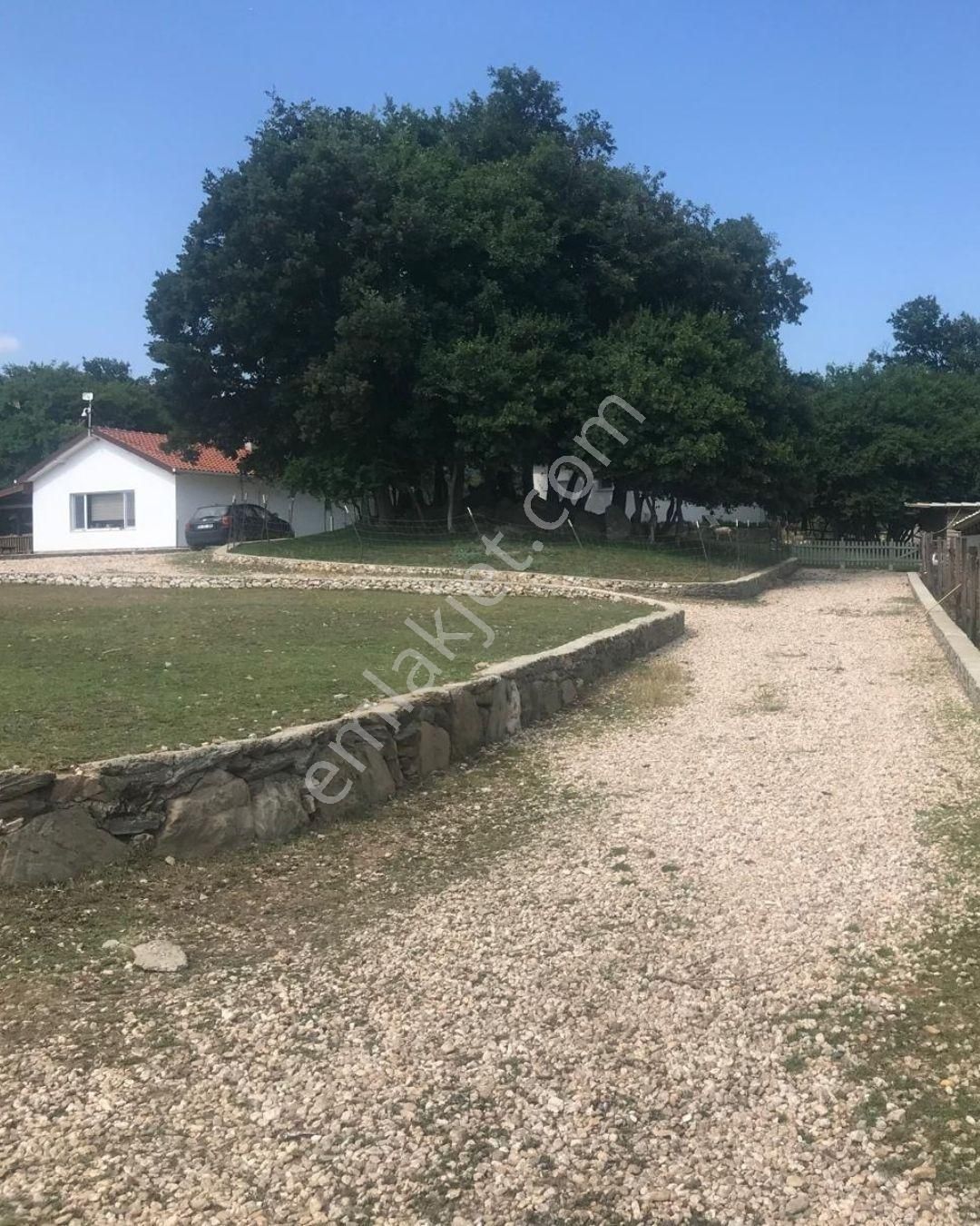 21 Dönüme Kurulu Ruhsatlı Çiftlik - Görsel 7