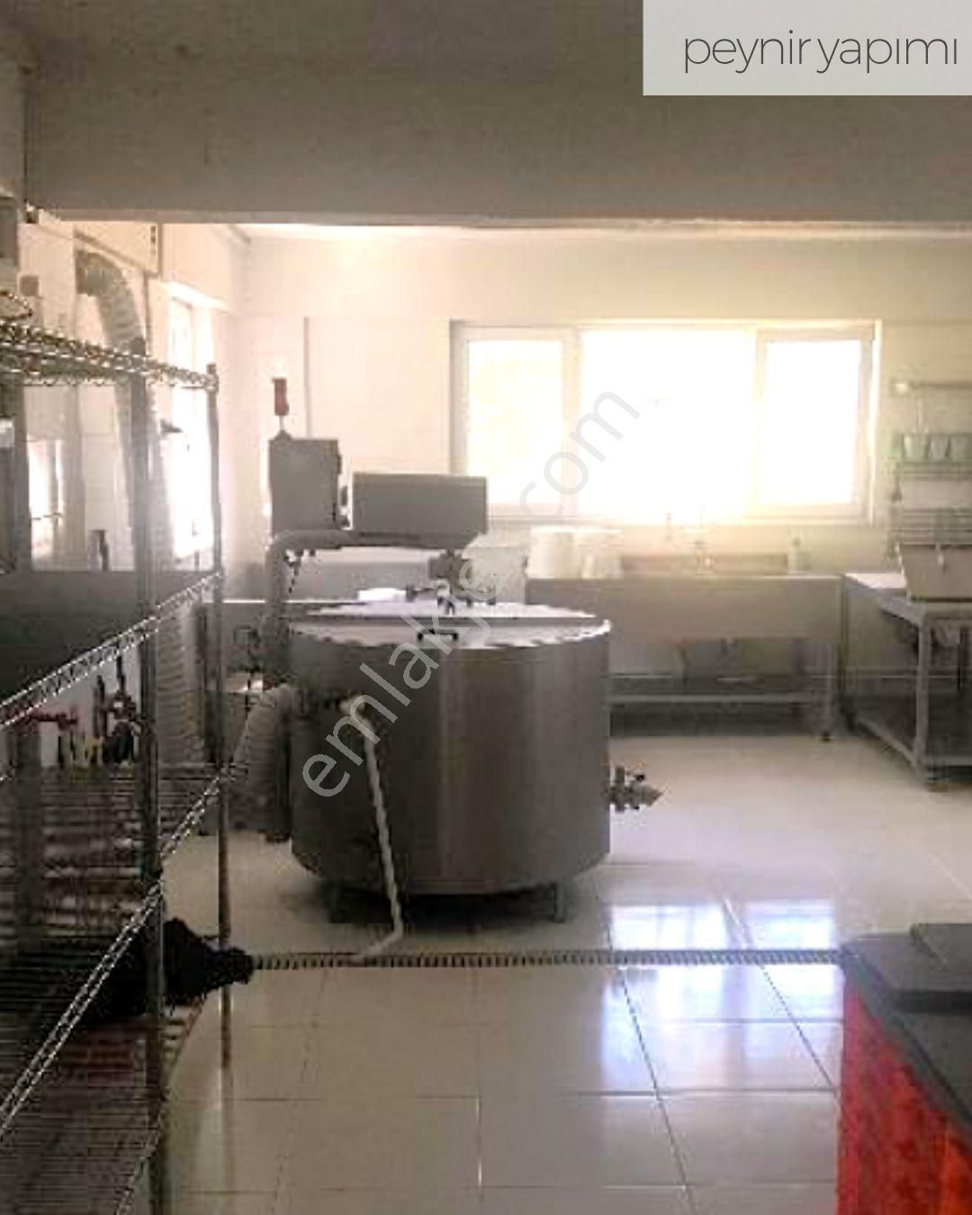 21 Dönüme Kurulu Ruhsatlı Çiftlik - Görsel 3