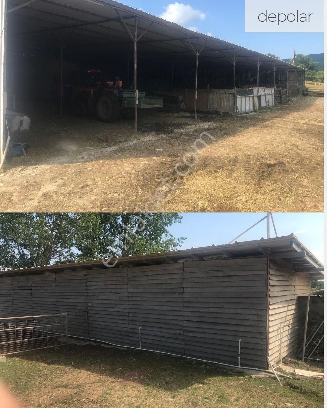 21 Dönüme Kurulu Ruhsatlı Çiftlik - Görsel 13