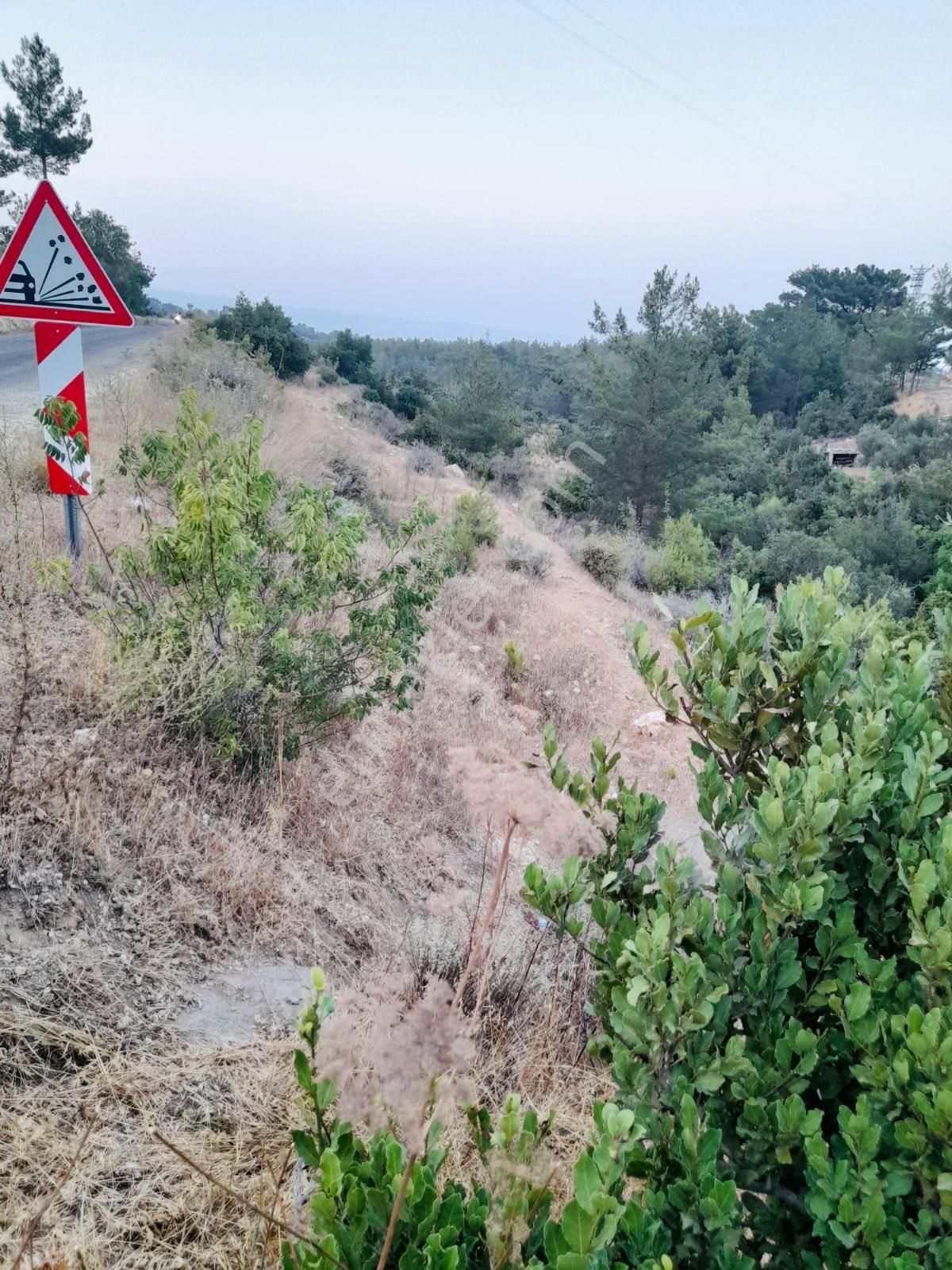 Türe Gayrimenkulden Silifke Çadırlıda Satılık Yol Cepheli Tarla - Görsel 3