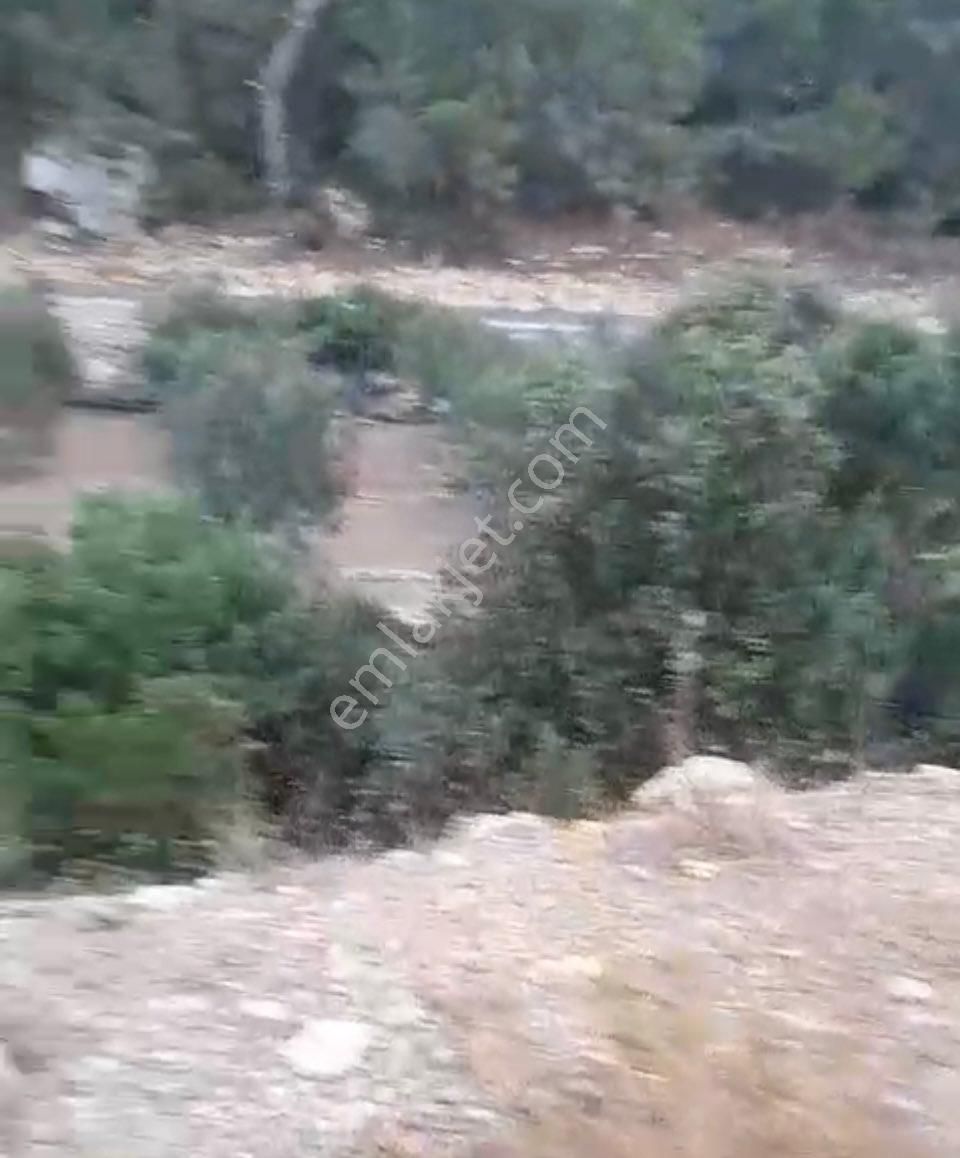 Türe Gayrimenkulden Silifke Çadırlıda Satılık Yol Cepheli Tarla - Görsel 7
