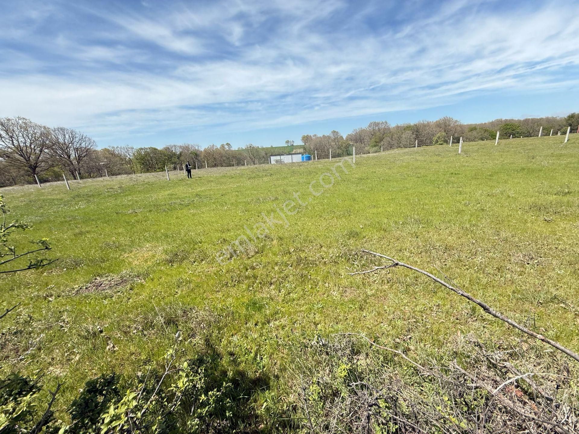 Tekirdağ Saray Büyükyoncalı 350 M2 Tek Tapu Satılık Arsa