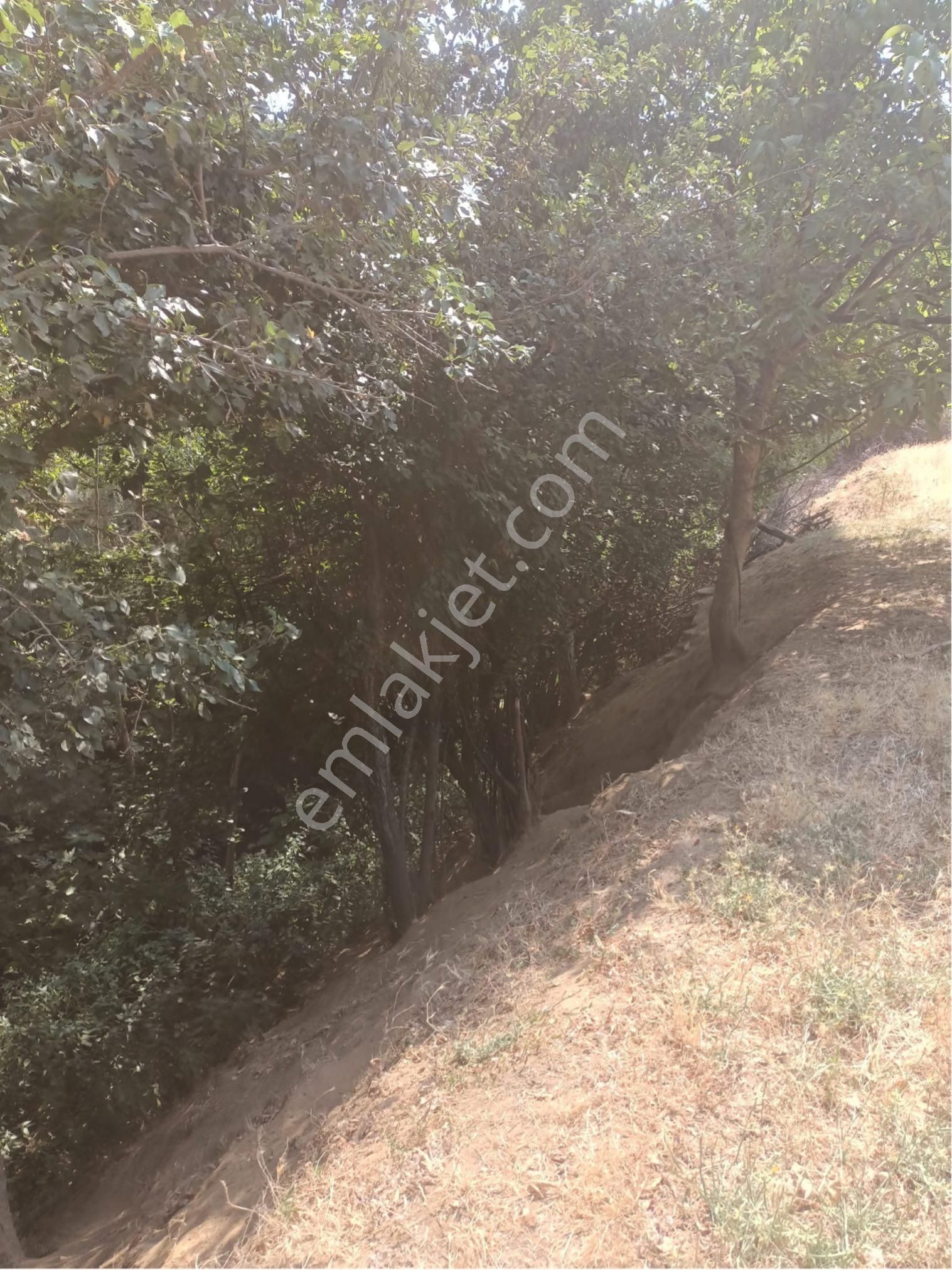 İzmir Bayındır Kızılkeçili Mahallesi’nde Satılık Bahçe - Görsel 6