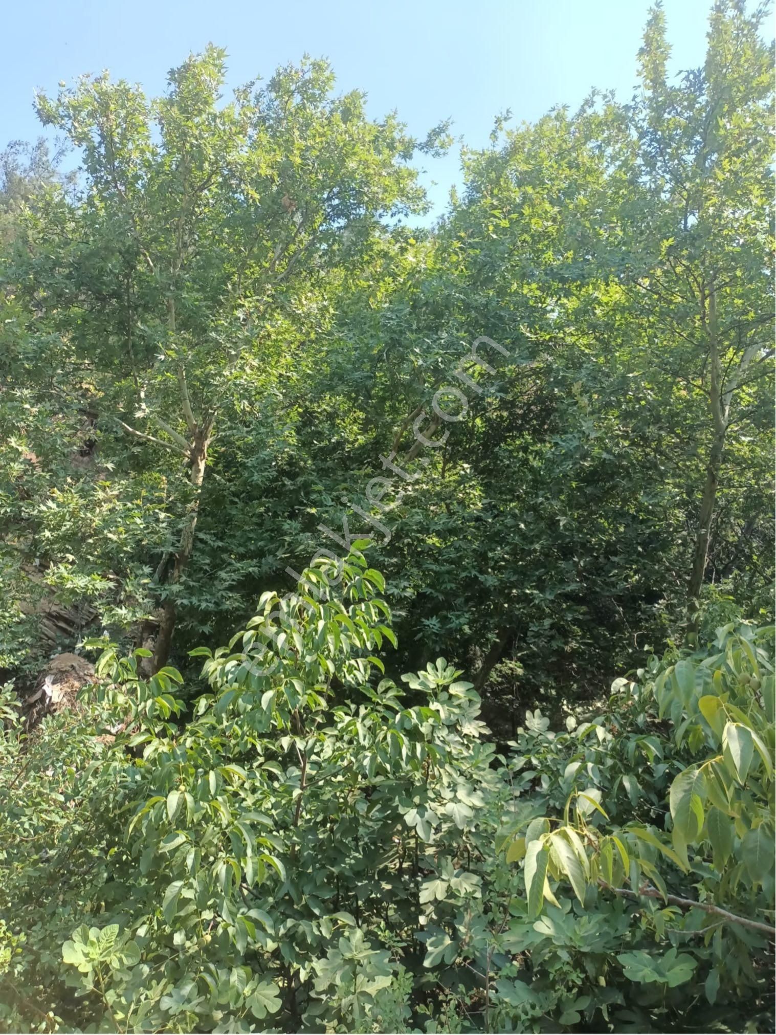 İzmir Bayındır Kızılkeçili Mahallesi’nde Satılık Bahçe - Görsel 8
