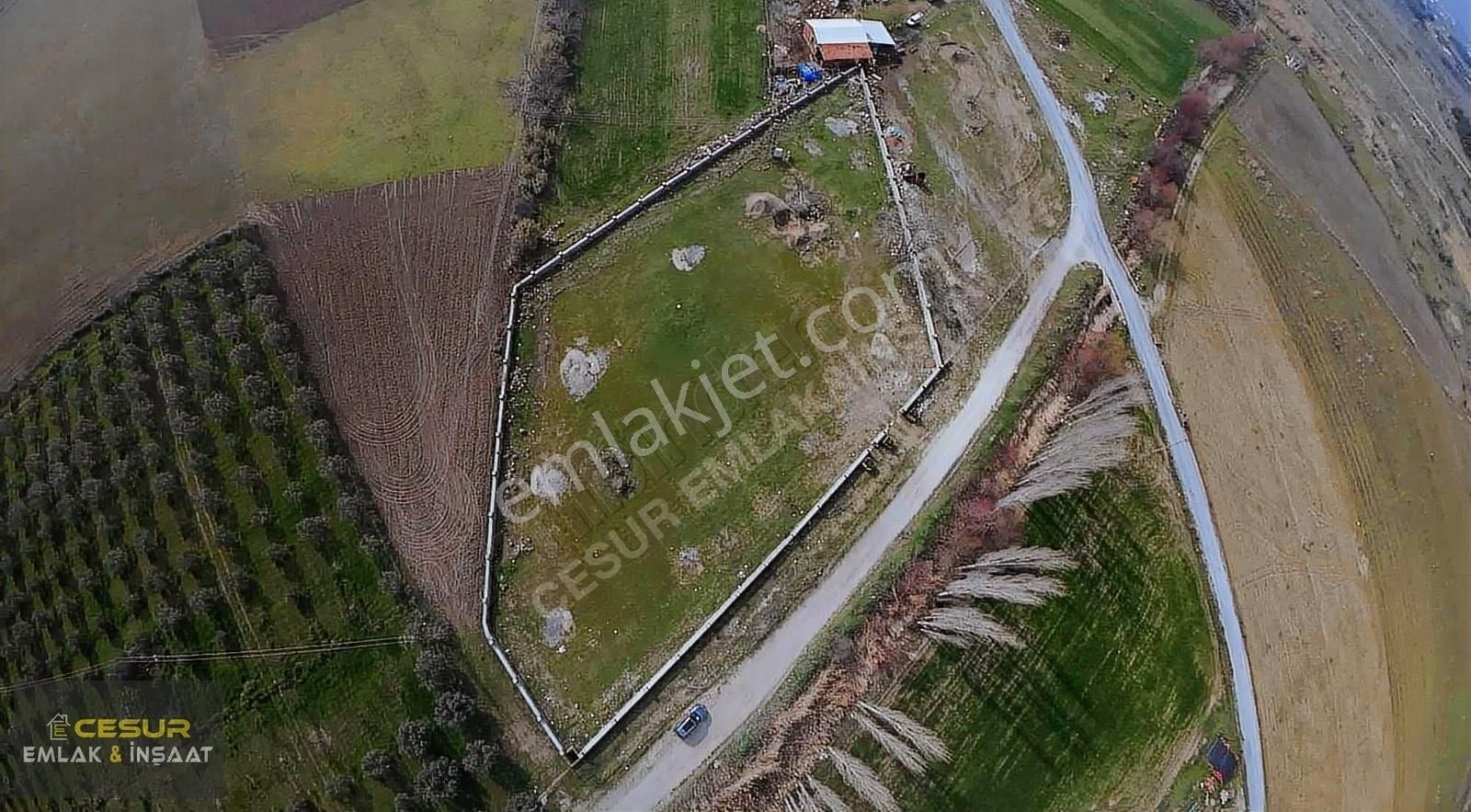 Dikili Bahçeli Köyde Muhteşem Tarla! - Görsel 10