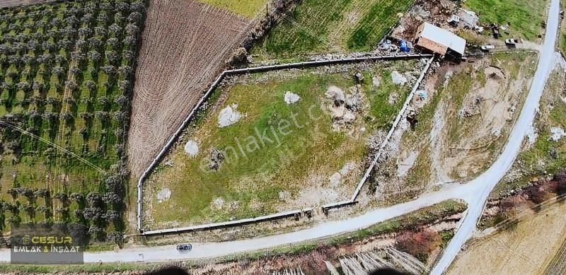 Dikili Bahçeli Köyde Muhteşem Tarla! - Görsel 24