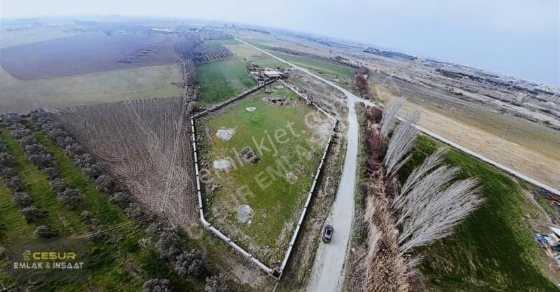 Dikili Bahçeli Köyde Muhteşem Tarla! - Görsel 9