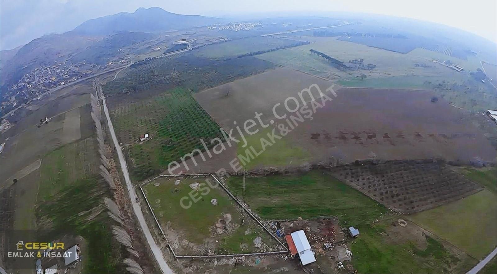 Dikili Bahçeli Köyde Muhteşem Tarla! - Görsel 12