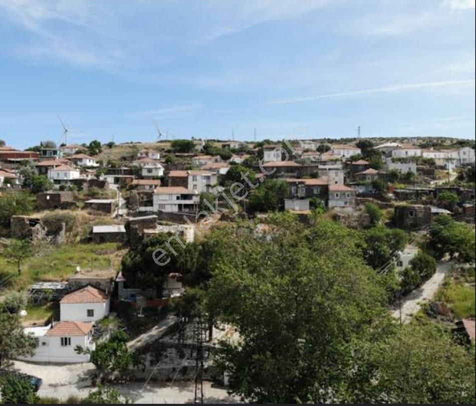 İzmir Karaburun Yaylaköyde Satılık Elektrik Ve Su Olan Fırsat Arazi - Görsel 10
