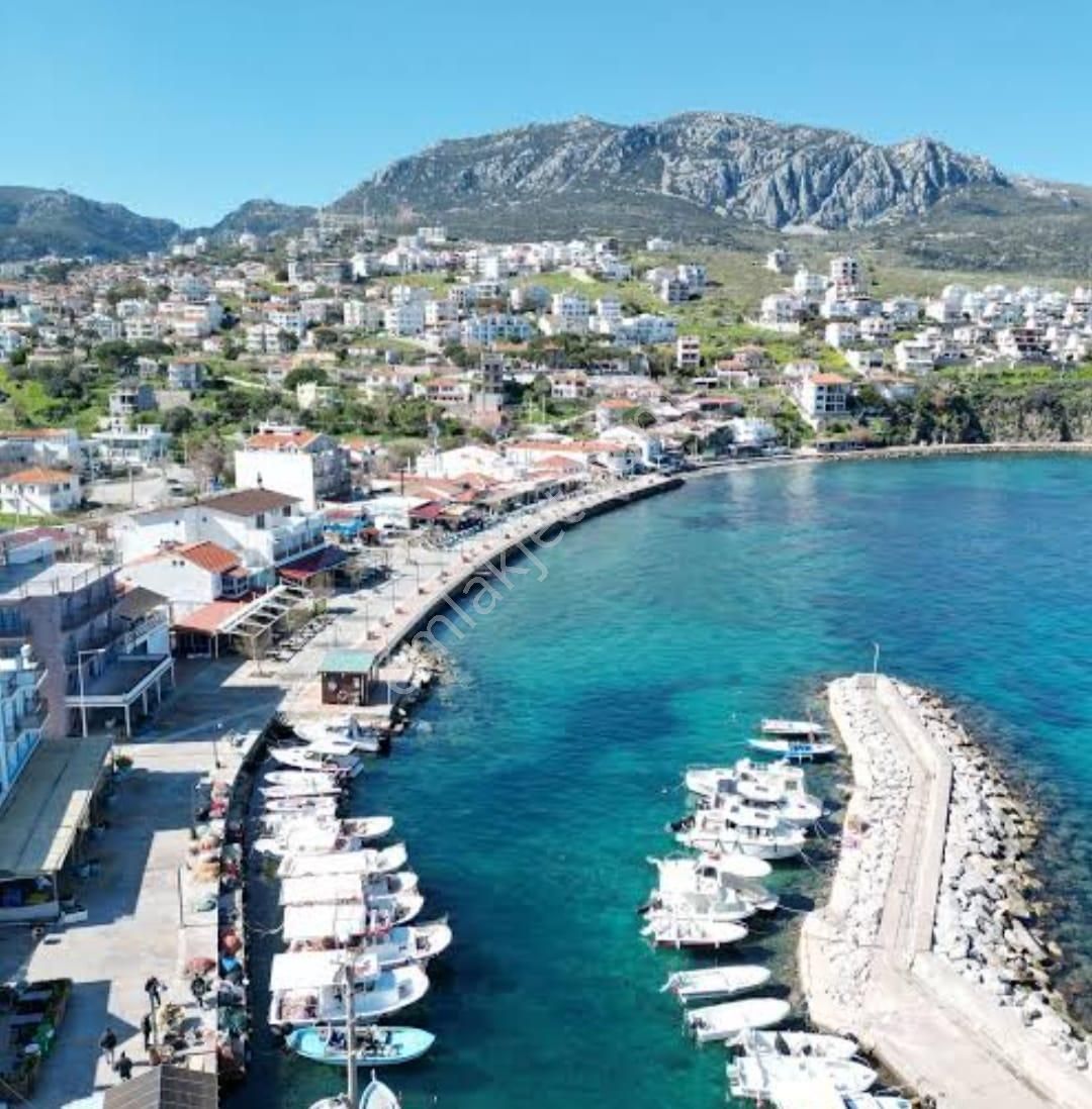 İzmir Karaburun Yaylaköyde Satılık Elektrik Ve Su Olan Fırsat Arazi - Görsel 6